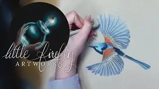 Drawing a Variegated Fairy Wren: Finishing the Wren - EP3