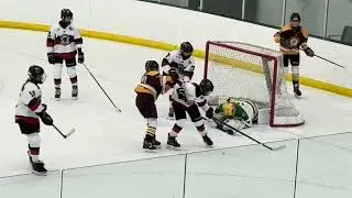 1/11/26 15UB Rochester v Fergus Falls Winter Classic Tournament Championship 