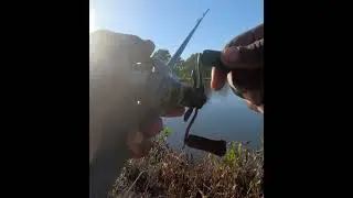 Top November Baits 