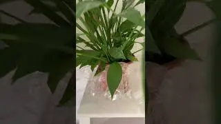 Unboxing DrainMaster Abtropfst&auml;nder Set von Drain-Master.de - Einfacher, sauberer, effektiver.