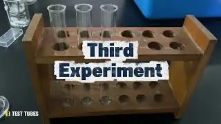 Inorganic Chemistry Lab Report - Investigating The Reactions of Group 2 Elements