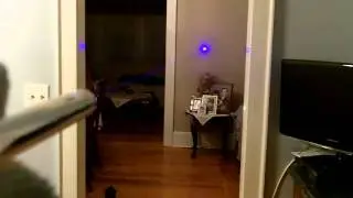 Dr. Lazer 445nm Pen Laser i build for him