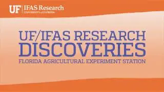 IFAS  Research - Population Structure of Marine Fisheries