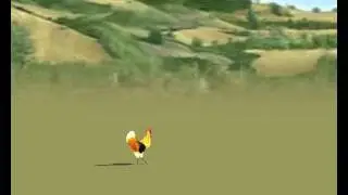 chicky butt. physics test