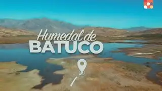 Capítulo 5: Humedal de Batuco 