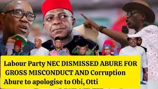 Labour Party NEC DISMISSED ABURE FOR GROSS MISCONDUCT AND CORRUPTION Abure to apologise to Obi, Otti