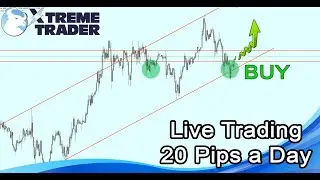 New 20 Pips a Day Live Trading! Look for the Reversals and Make Profits!