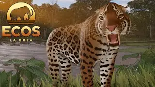 A VIDA DE UM SMILODON! A CA&Ccedil;A AOS LOBOS! Ecos: La Brea l Roblox