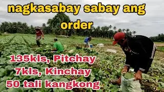 Sabay sabay ang order   ng mga gulay