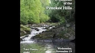 Wetlands of the Penokee Hills by Tracy Hames