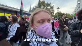 #gretathunberg  has abandoned the environmental fight | Global Info Pulse