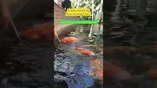 Something amazing happens after the boy puts his finger in the water!