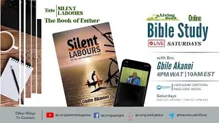 Bible Study 02- Bro Gbile Akanni - Silent Labours - The Book Of Esther - Chap 1 Pt2