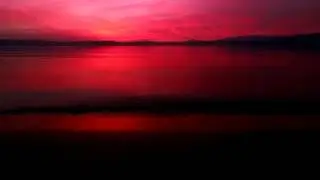surah Al-Hashr |Sheikh Murtada Bakour| سورة الحشر