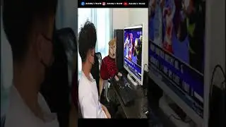 Funny dog playing PC games