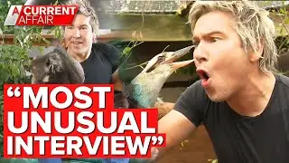 This man lives with 2000 animals | A Current Affair