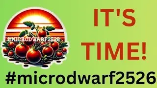 #microdwarf2526, @gailssouthernliving,  How I start my Micro Dwarf Tomato Seeds