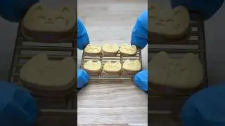 Make Vanilla Kitty cookies with me using Make It Mini From Scratch 🥹