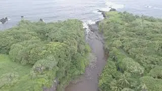 Royalty Free Maui Forest River Delta 2 Drone Stock Video Footage