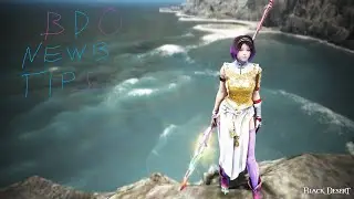 Black Desert Beginner Tips and Useful Information