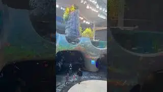 Inside the new Seattle aquarium addition. #seattle #aquarium #fish