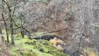 3-Minute Creek Meditation (Fall)