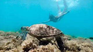 cebu & bohol, philippines ~ vlog03