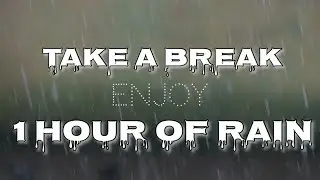 Take a break - Enjoy A Long Hour Of Soft Ambient Relaxing Rain