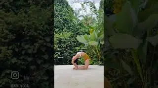 The Practice of Ahimsa or Non Violence