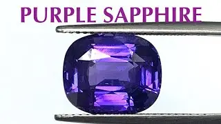 Natural Unheated Vivid Purple Sapphire Cushion Shape - 8+ Carats - by Gandhi Enterprises