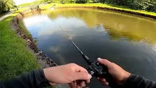 Lure Fishing For Pike (lymm dam, top lock)