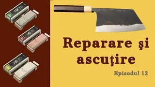 Reparare şi ascuţire Shibata Tinker Tank cu pietre Suehiro Debado S