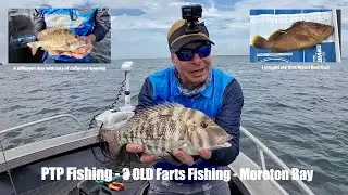 PTP Fishing - 3 Old Farts Fishing - Moreton Bay