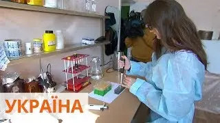 Институт молекулярной биологии и генетики НАН готов обеспечить Украину ПЦР-тестами на коронавирус