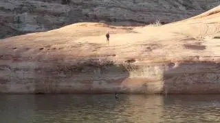 lake powell 2015