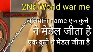 a dog is won a medail in second world war // interesting facts // do you know