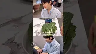Wellness, Morning Routine