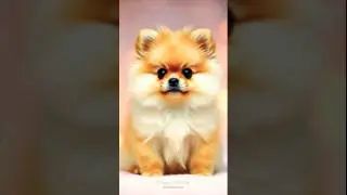 💛🐶💜 #dog #shorts #dogtalking #funnydogs #puppy #doglife
