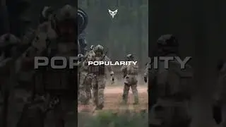 Why Did SEALs Use the Punisher Skull?