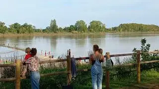 Today at the mascaret 15 September 2023.      Surfing the tidal bore in the Dordogne River in France
