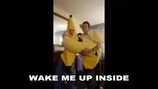 Sarahndipity's Bronycon 2016 Vlog: BANANAS TAKE OVER BRONYCON  (DAY 3 PART 2- SUNDAY)