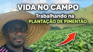 Mostrando o restante parte 2