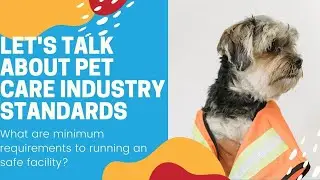 Let's Talk about Industry Standards in the Pet Care Industry