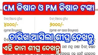 pm kisan and cm kisan yojana new update 2026 | cm kisan and pm kisan today news odia 2026