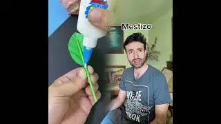 #dogs&nbsp;#cats&nbsp;#comedy&nbsp;#pets&nbsp;extended version