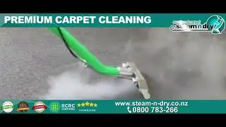 Satisfying Hot Carpet Steam Cleaning Auckland