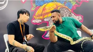 China’s Largest Reptile Expo 🇨🇳 | Thousands of Rare Snakes & Exotic Reptiles!