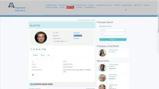 Employee Milestone Widgets to power up your sidebars - Employee Directory Pro WordPress Plugin