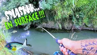 Test Du Whopper Plopper En Roubine !
