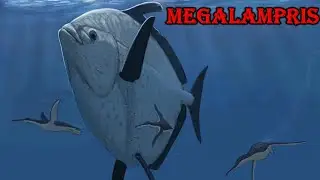 Megalampris